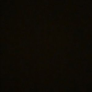 Meet your Posher, Nina